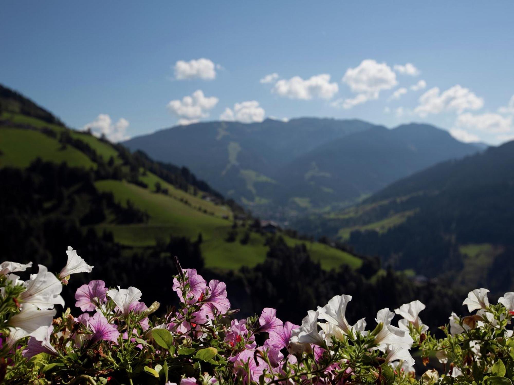 Apartment In Sankt Johann Im Pongau Near Ski Area Wagrain Zewnętrze zdjęcie